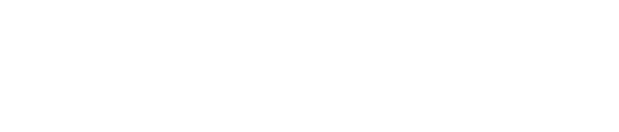 NibSaaS
